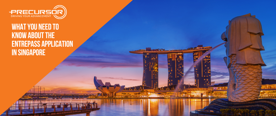 What You Need to Know About the EntrePass Application in Singapore
