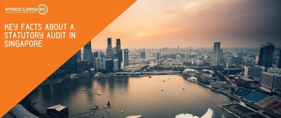 Key facts about a Statutory Audit in Singapore